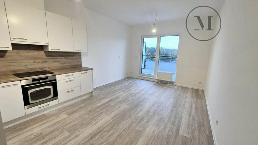 Pronájem bytu 1+kk, České Budějovice, Branišovská, 32 m2
