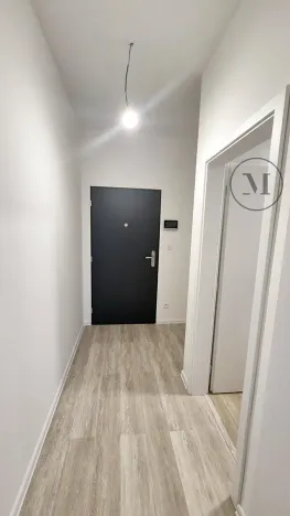 Pronájem bytu 1+kk, České Budějovice, Branišovská, 32 m2