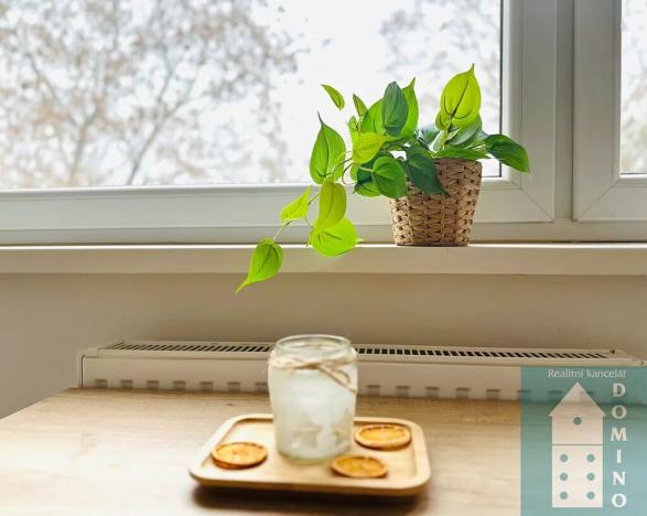 Pronájem bytu 1+1, Kroměříž, Denkova, 36 m2