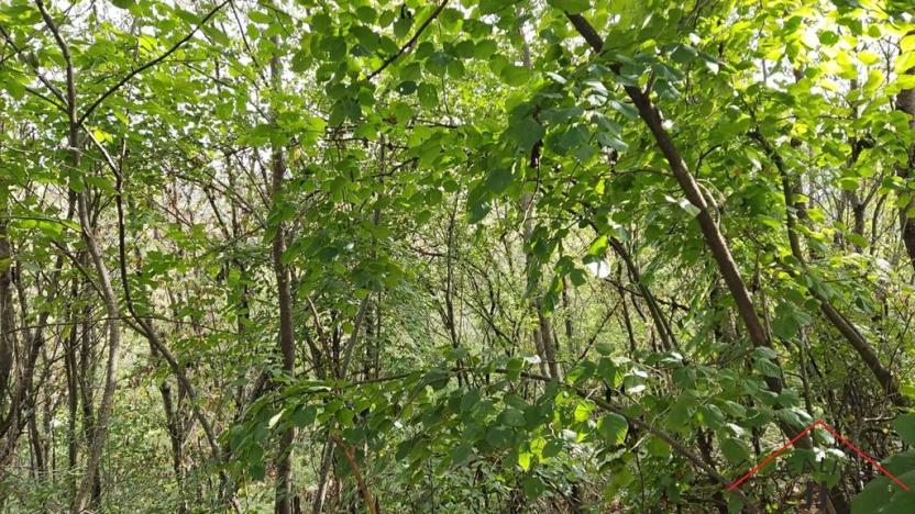 Prodej pozemku pro bydlení, Holín, 984 m2