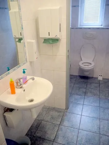 Prodej komerční nemovitosti, Volyně, 450 m2