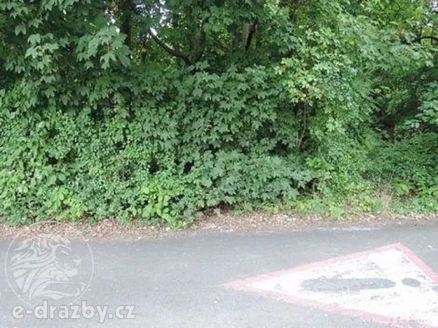 Dražba lesa, Kladno, 2465 m2