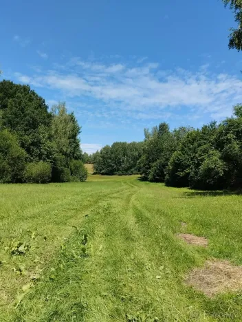 Prodej louky, Babice, 45608 m2