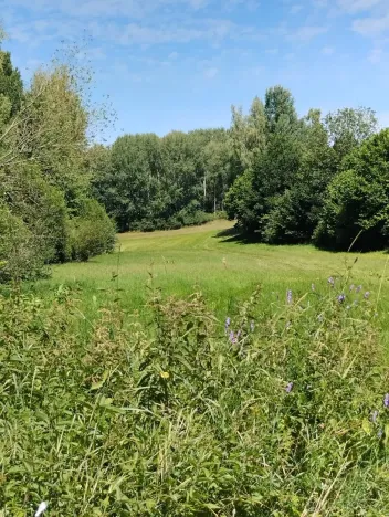 Prodej louky, Babice, 45608 m2