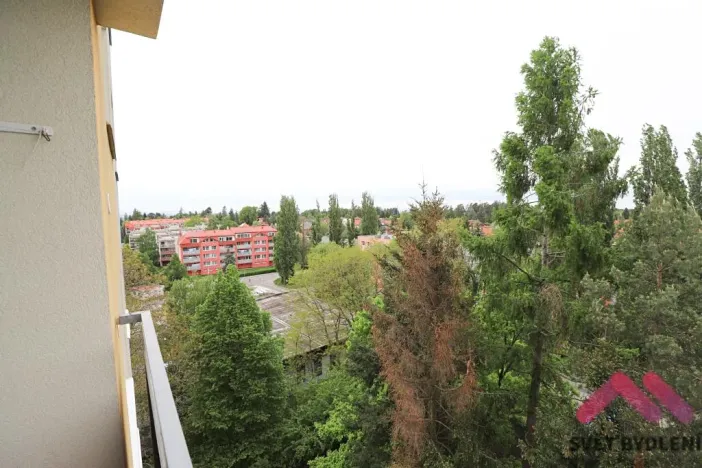 Prodej bytu 1+kk, Říčany, U Vodojemu, 19 m2