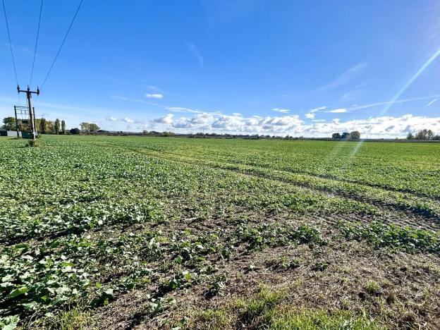 Prodej pozemku pro bydlení, Dašice, 14166 m2