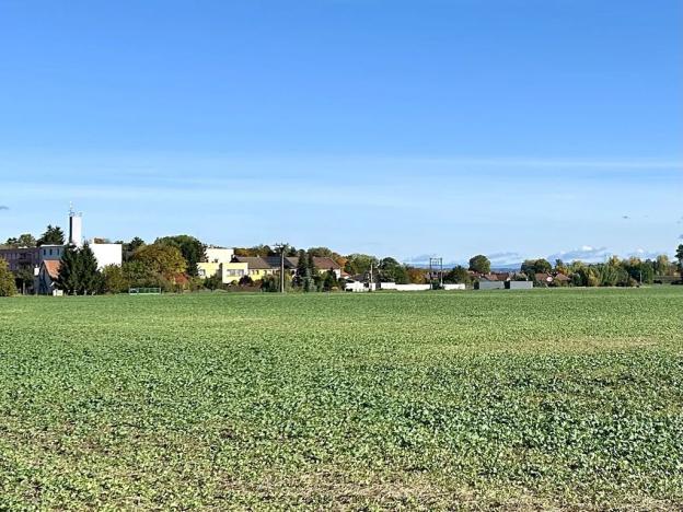 Prodej pozemku pro bydlení, Dašice, 14166 m2