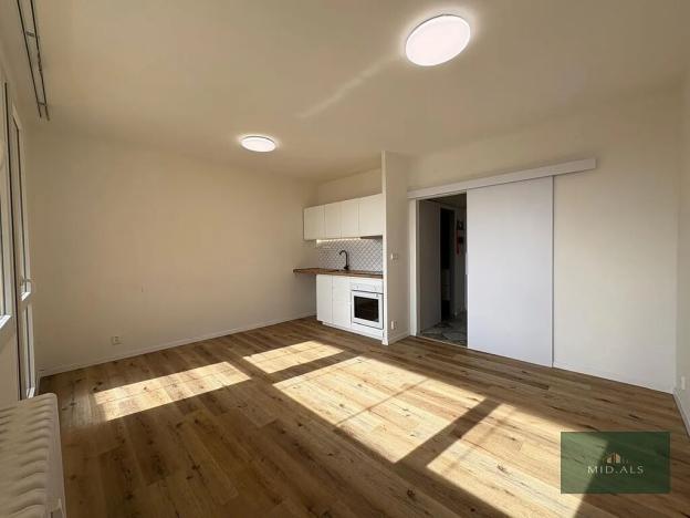 Prodej bytu 1+kk, Plzeň, alej Svobody, 36 m2