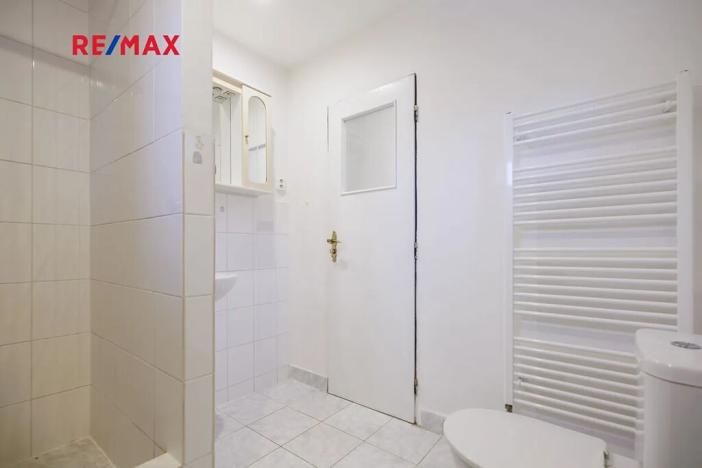 Pronájem rodinného domu, Nový Malín, 205 m2