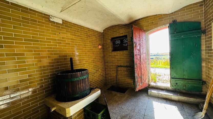 Prodej vinného sklepa, Velké Bílovice, 100 m2