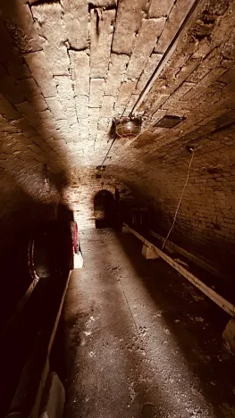 Prodej vinného sklepa, Velké Bílovice, 100 m2