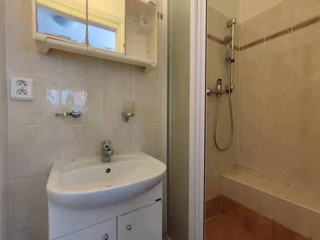 Pronájem bytu 2+kk, Brno, Tichého, 42 m2