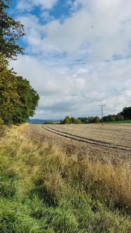 Prodej lesa, Postupice, 1363 m2