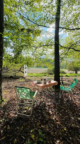 Prodej lesa, Postupice, 1363 m2