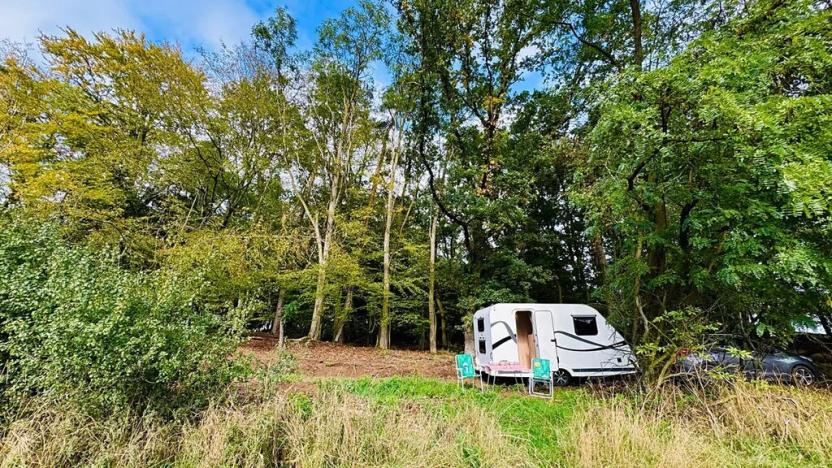 Prodej lesa, Postupice, 893 m2