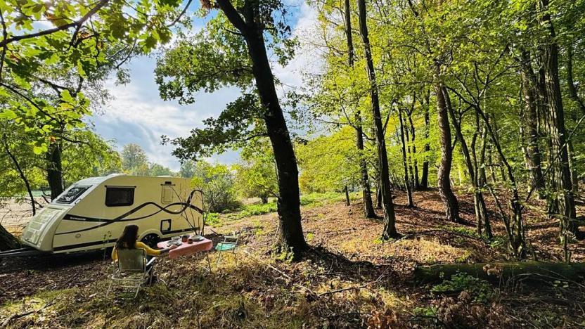 Prodej lesa, Postupice, 893 m2