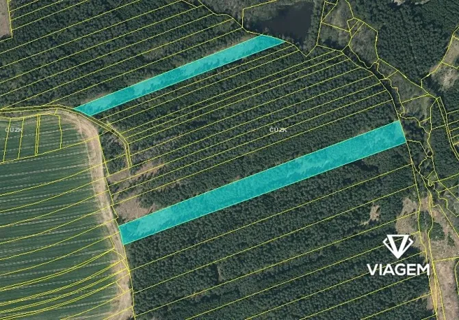 Prodej lesa, Chrbonín, 32870 m2