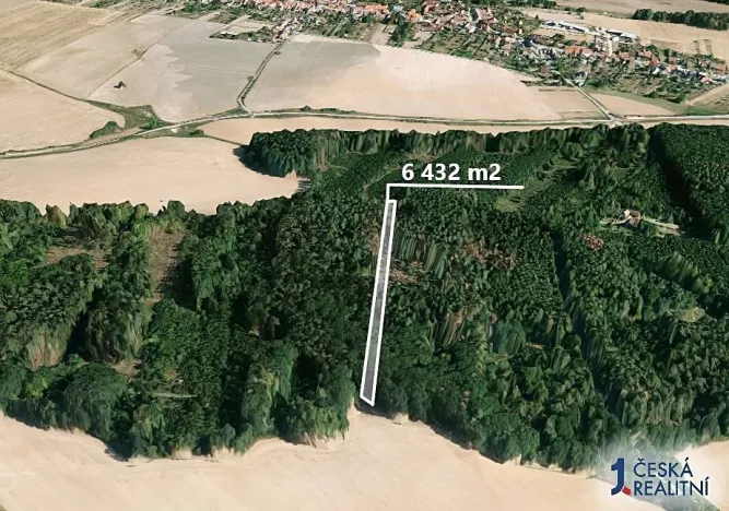 Prodej podílu lesa, Lukovany, 7040 m2