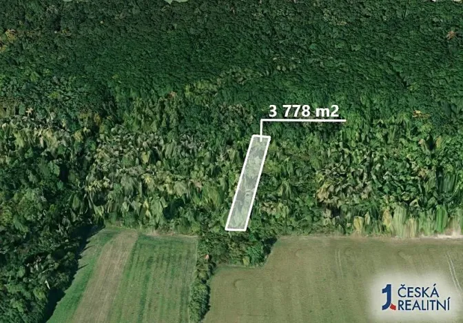 Prodej lesa, Dobrovice, 3778 m2