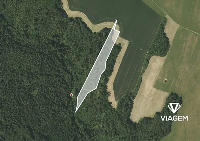 Prodej lesa, Fulnek, 9491 m2