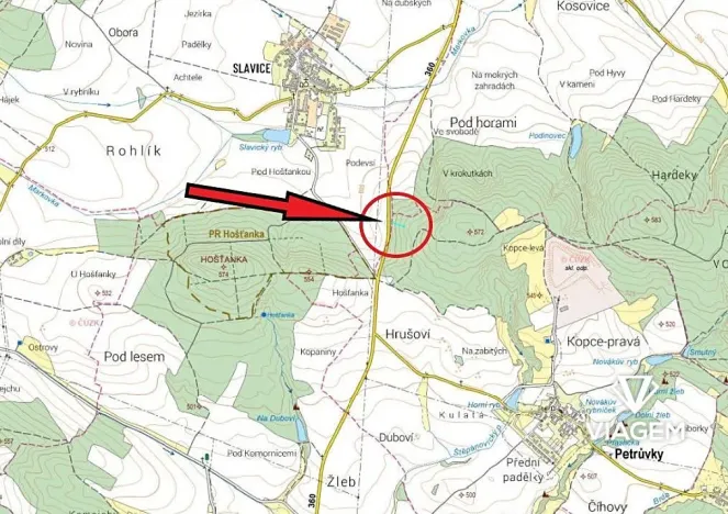 Prodej lesa, Petrůvky, 711 m2