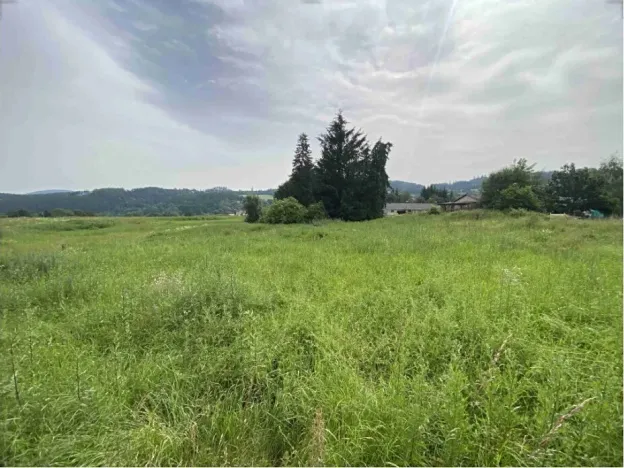 Dražba louky, Bohumilice, 5491 m2