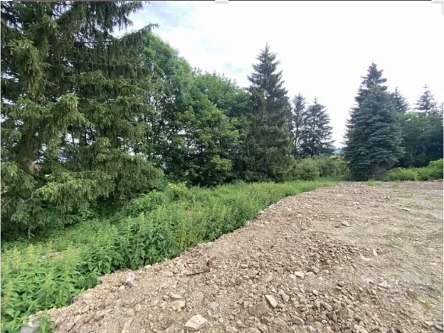 Dražba louky, Bohumilice, 5491 m2