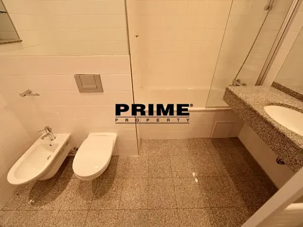 Pronájem bytu 4+kk, Praha - Vinohrady, Na Švihance, 140 m2