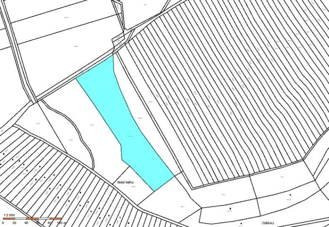 Prodej pole, Krumvíř, 11646 m2