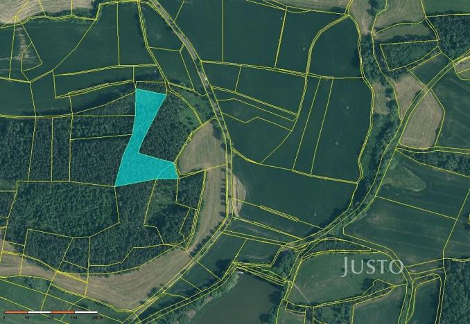 Prodej lesa, Horažďovice, 11833 m2