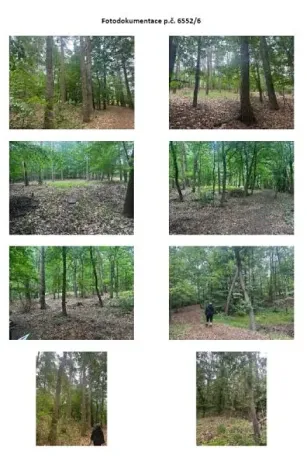 Prodej pozemku, Holice, 5782 m2