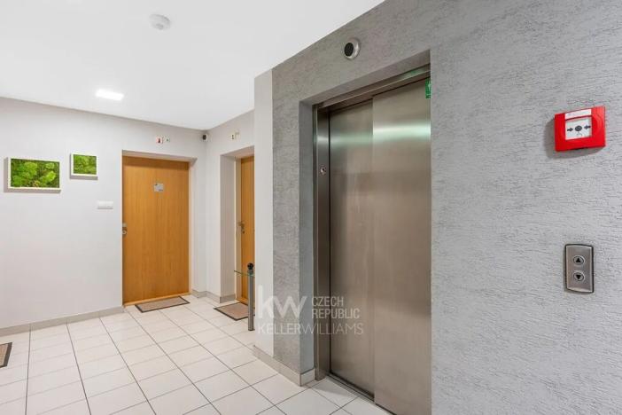 Pronájem bytu 2+kk, Praha - Žižkov, Pitterova, 77 m2