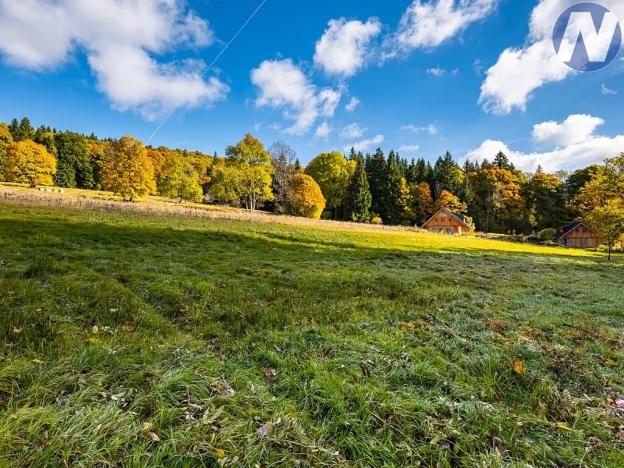 Prodej louky, Stožec, 6572 m2