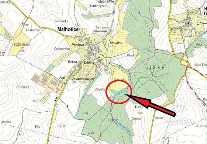 Prodej podílu lesa, Malhotice, 1965 m2