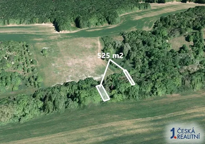 Prodej lesa, Hradčovice, 525 m2