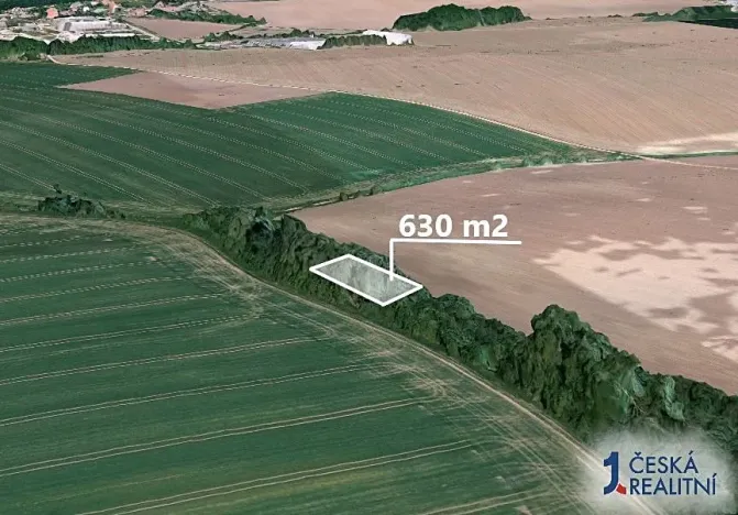 Prodej lesa, Počenice-Tetětice, 630 m2