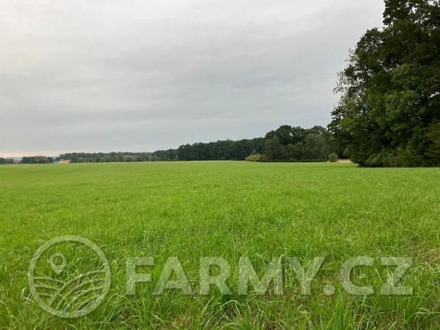 Prodej podílu pole, Dolní Roveň, 62359 m2