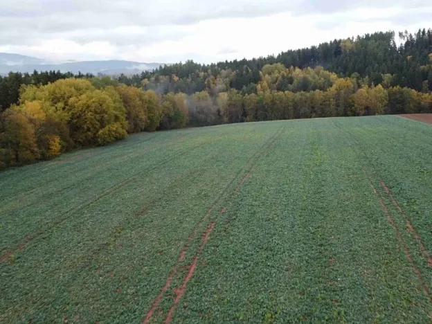 Dražba pole, Staré Buky, 71140 m2