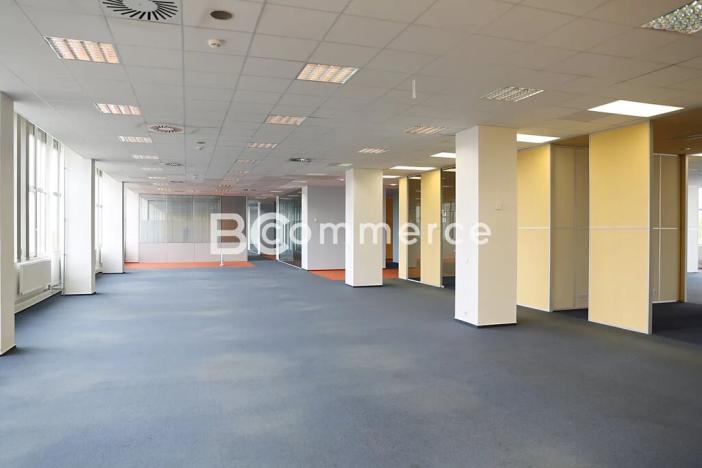 Pronájem kanceláře, Brno, Purkyňova, 700 m2