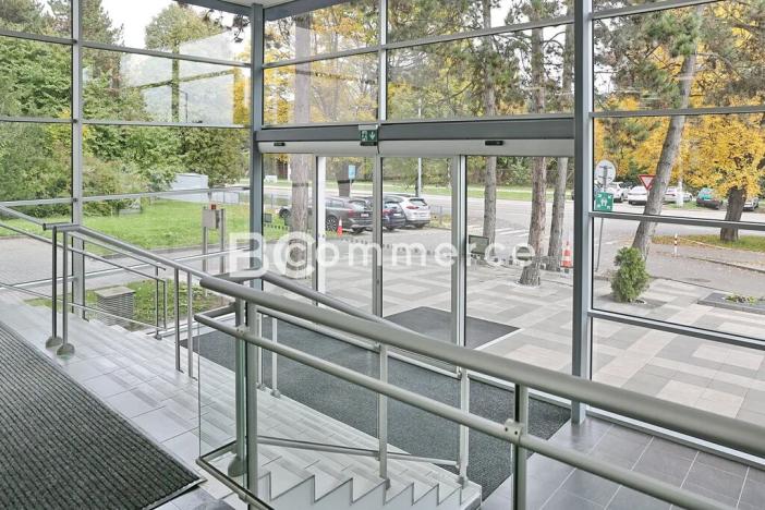 Pronájem kanceláře, Brno, Purkyňova, 700 m2