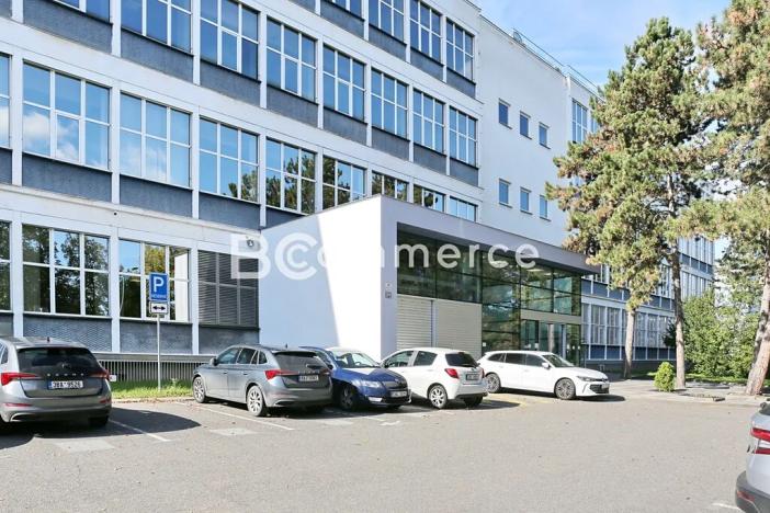 Pronájem kanceláře, Brno, Purkyňova, 100 m2