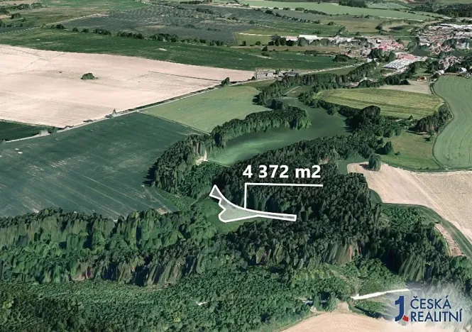 Prodej podílu lesa, Žirovnice, 1457 m2