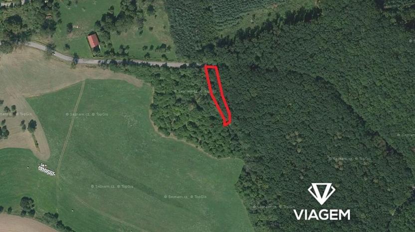 Prodej podílu lesa, Bačalky, 626 m2