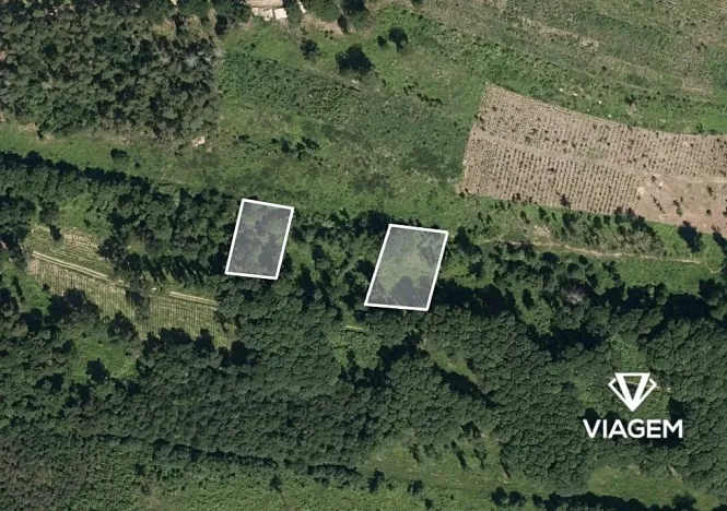 Prodej podílu lesa, Dešov, 806 m2