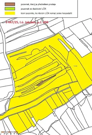 Prodej lesa, Častrov, 768 m2