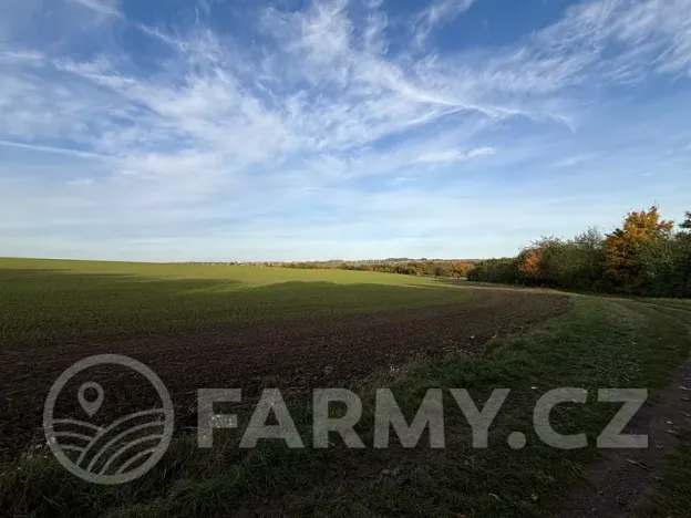 Prodej pole, Roztoky, 40596 m2