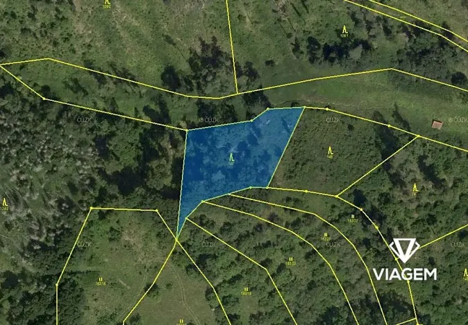 Prodej lesa, Obora, 2560 m2