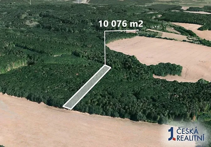 Prodej podílu lesa, Prštice, 1259 m2