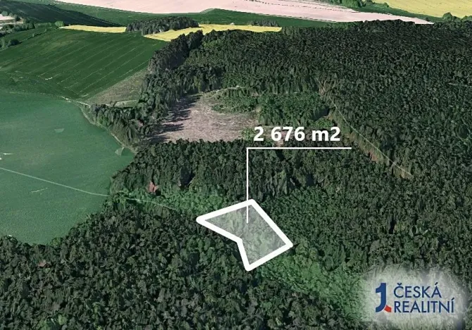 Prodej podílu lesa, Chýstovice, 669 m2