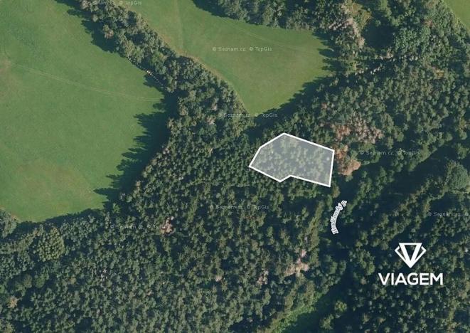 Prodej podílu lesa, Bošice, 1711 m2